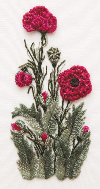 Chinese Poppy Edmar1706