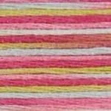 DMC variegated stranded cotton range 4500-4523 {Colour:4502} DMC variegated stranded cotton range 4500-4523 {Colour:4502}