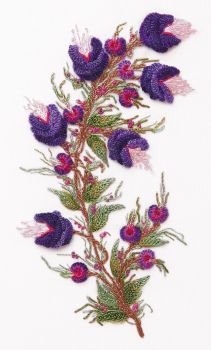 Belle Campanula Edmar 5120
