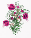 Snowbells Edmar 5121
