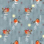 Winter Moon Robins Winter Moon Robins