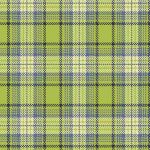 Primo Plaid Flannel R0911Light Green