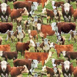Timeless Treasures Hereford Cows in a Corral WestCD3341 Multi