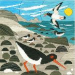 Oystercatchers SSMJ2 Oystercatchers SSMJ2